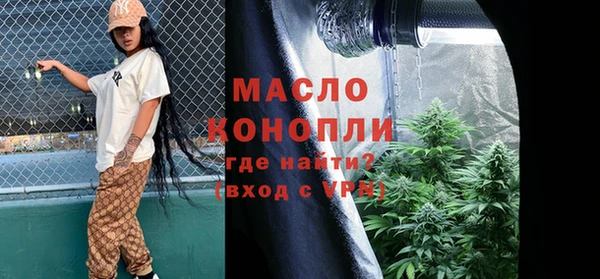 молекула духа Заводоуковск
