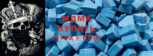 индика Инта