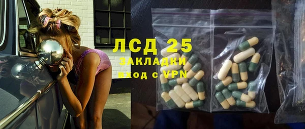 индика Чита